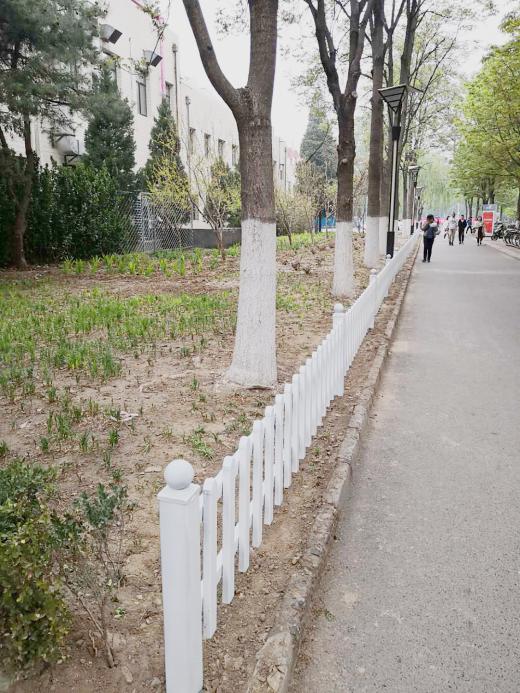 微信图片_201904240835271_副本